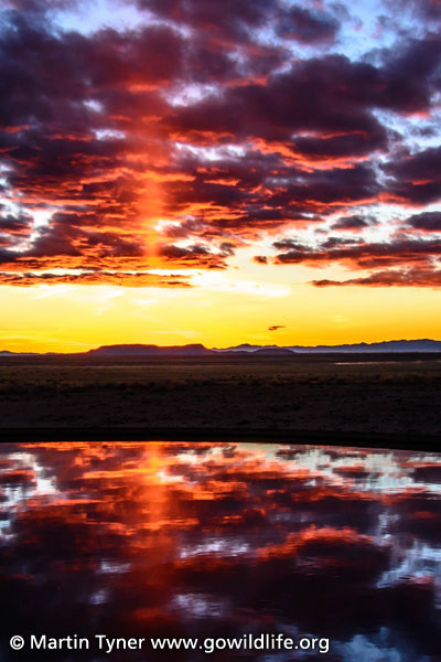 Desert Sunset Over Livestock Water Trough