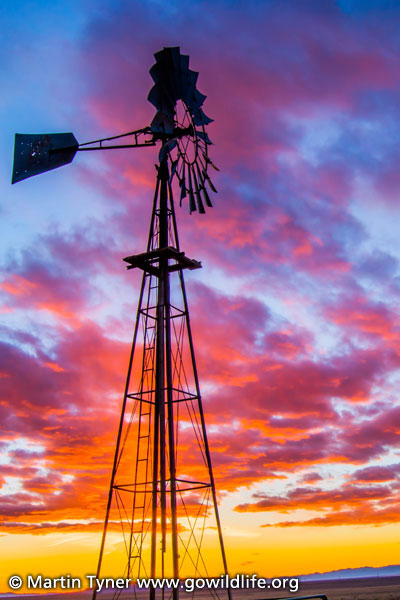 Windmill Desert Sunset