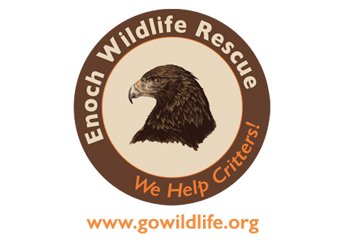 Enoch Wildlife Rescue