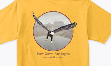 Slow Down For Eagles T-Shirt